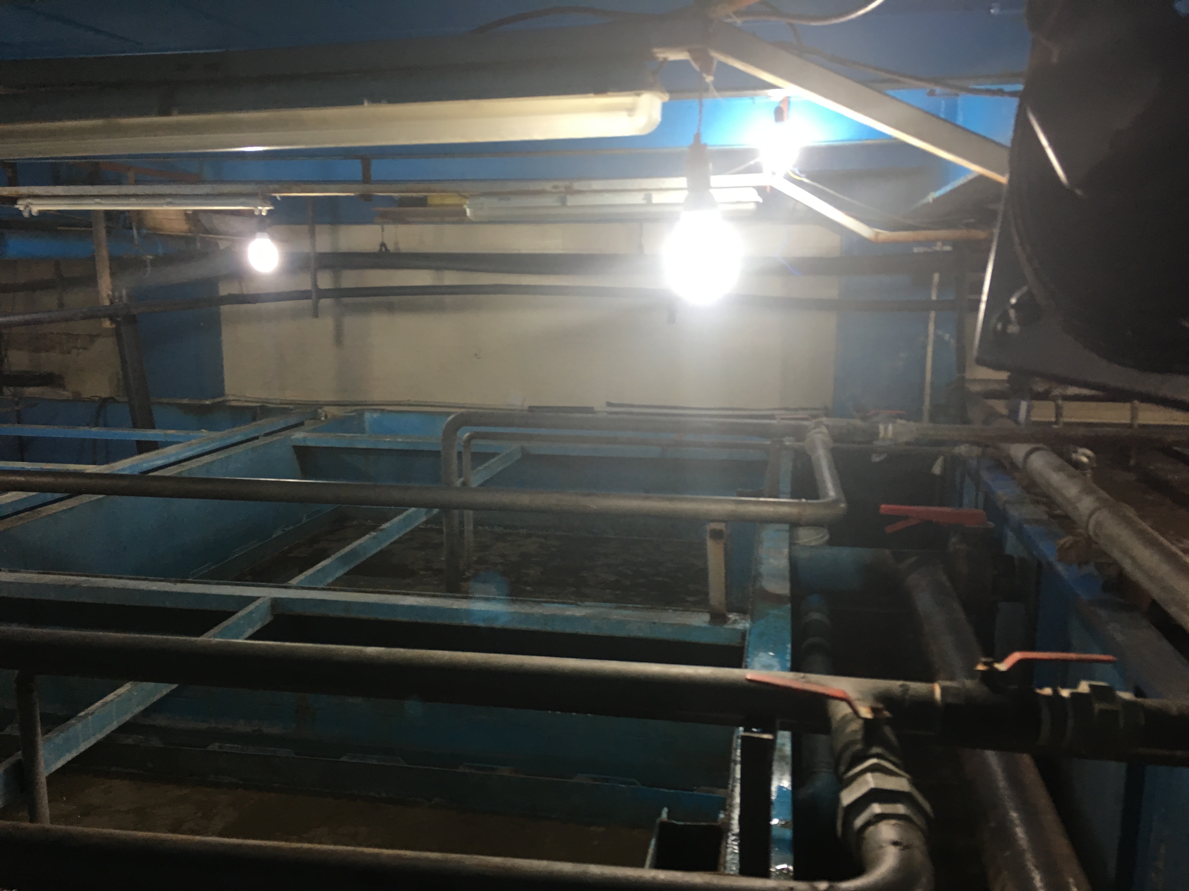 بهره برداری از تصفیه خانه فاضلاب مجتمع تجاری  کوروش 